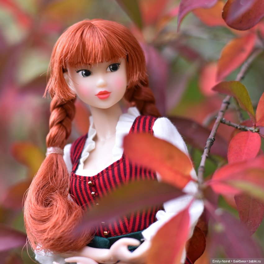 Алая осень — Домашние коллекции кукол: фото собраний (фото 2)