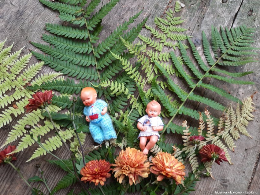 Осенние братишки🍂🍁🍃🍀🙋🙋‍♂️ (фото 8)