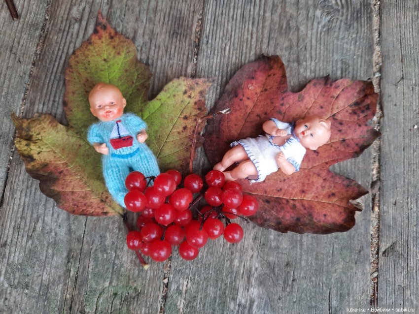 Осенние братишки🍂🍁🍃🍀🙋🙋‍♂️