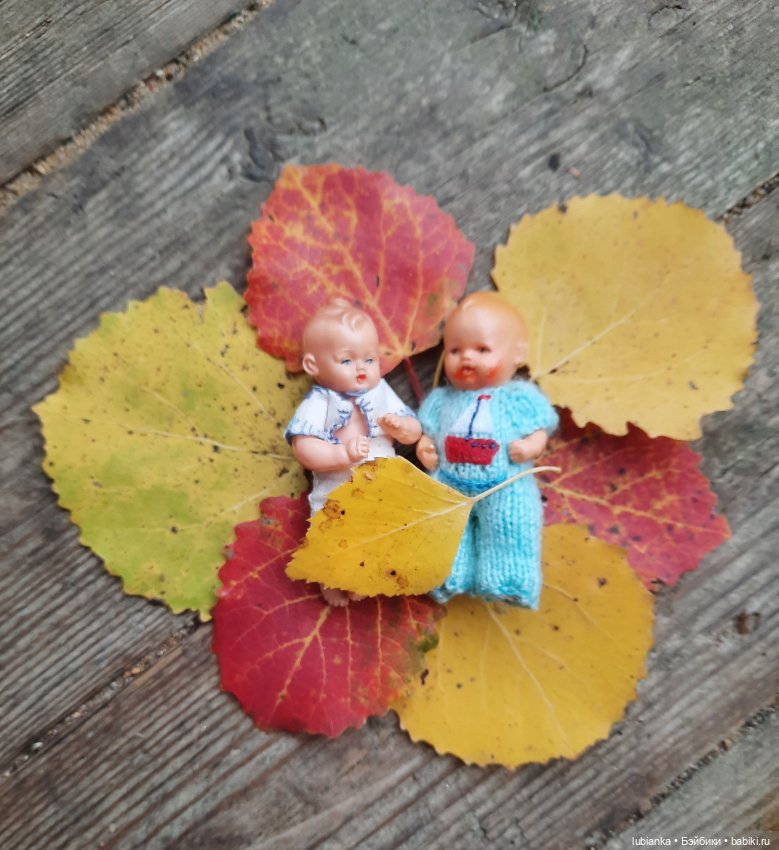 Осенние братишки🍂🍁🍃🍀🙋🙋‍♂️ (фото 2)