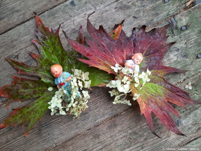 Осенние братишки🍂🍁🍃🍀🙋🙋‍♂️ (фото 9)