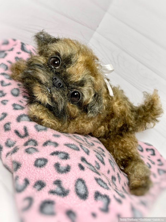 Yeti 🐶 — Реалистичные игрушки и звери (Натюр): собаки