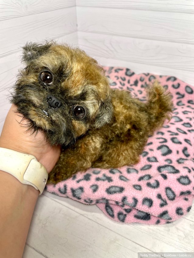 Yeti 🐶 — Реалистичные игрушки и звери (Натюр): собаки (фото 6)