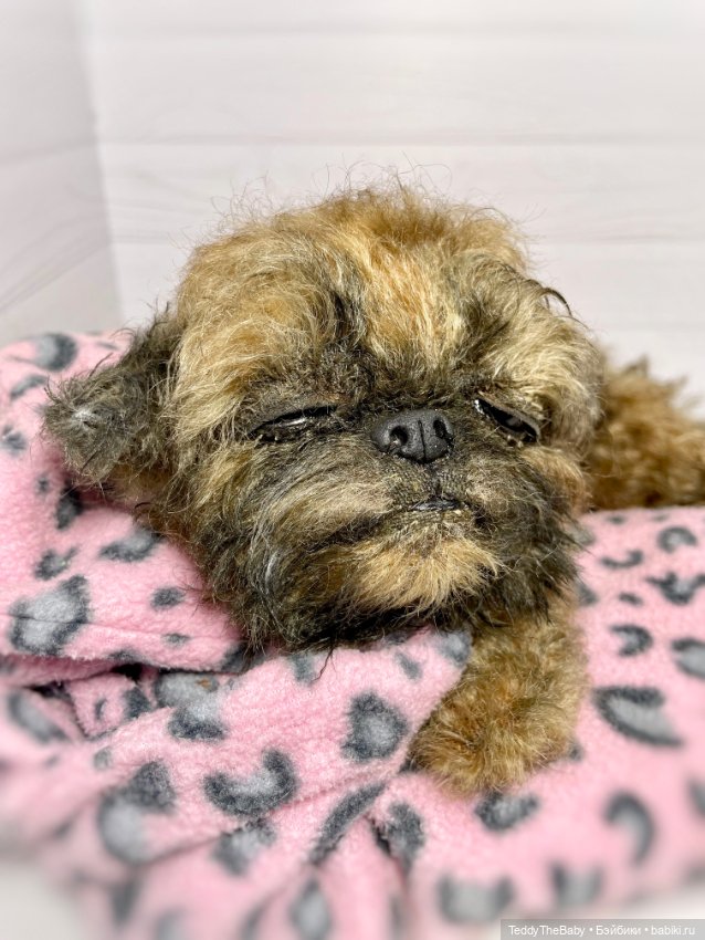 Yeti 🐶 — Реалистичные игрушки и звери (Натюр): собаки