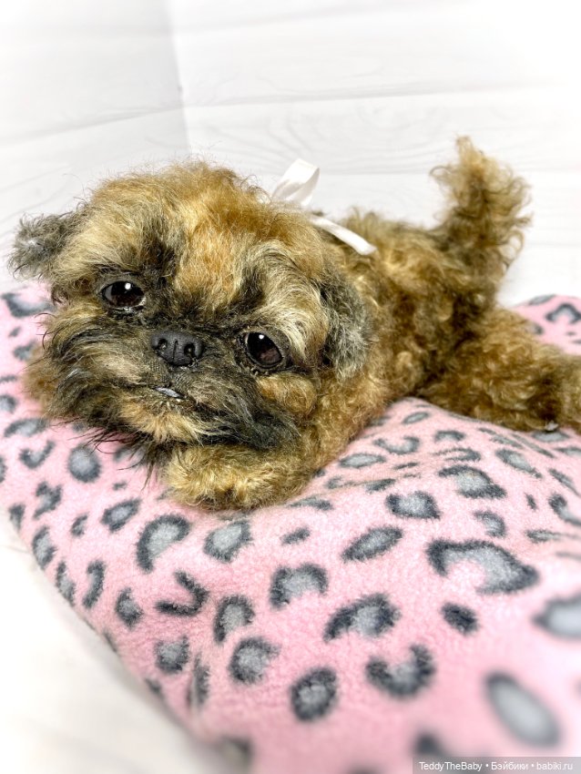 Yeti 🐶 — Реалистичные игрушки и звери (Натюр): собаки