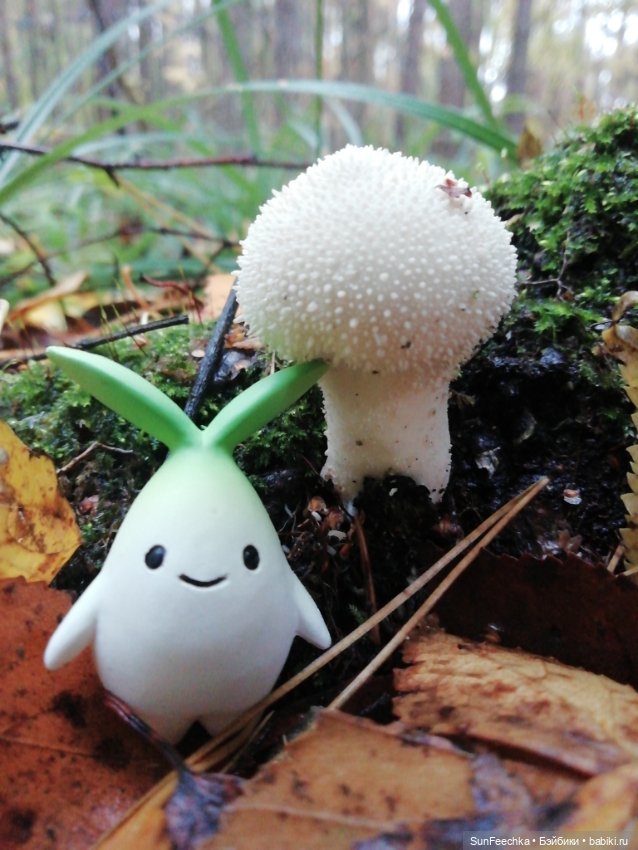 Apo frog Маркус и Малыш Лу. Осень. Лес. Айда по грибы