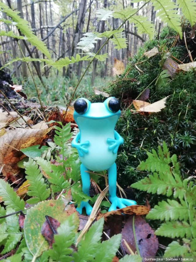 Apo frog Маркус и Малыш Лу. Осень. Лес. Айда по грибы