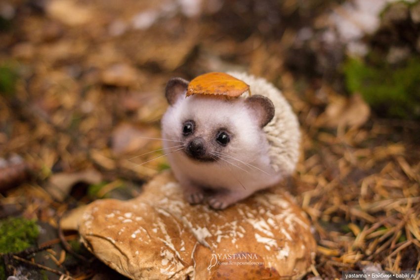 Валяные игрушки из шерсти: сухое валяние