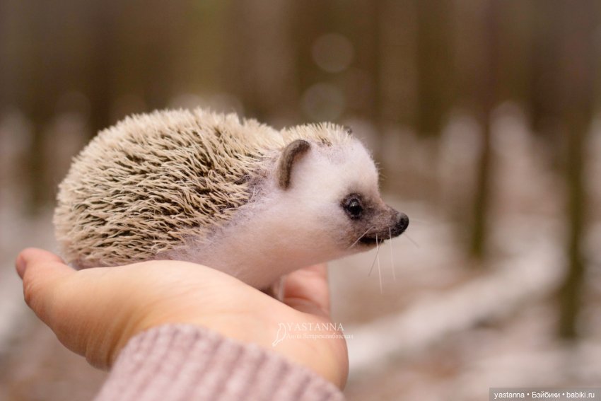 Валяные игрушки из шерсти: сухое валяние