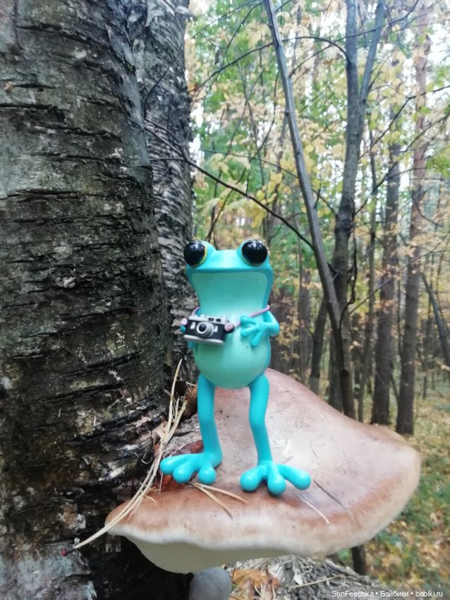 Apo frog Маркус и Малыш Лу. Осень. Лес. Айда по грибы (фото 10)