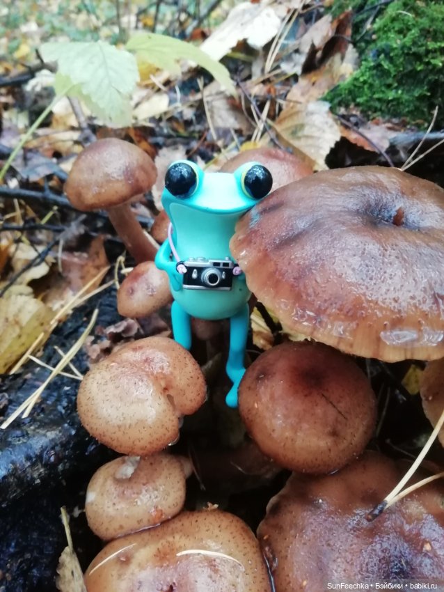 Apo frog Маркус и Малыш Лу. Осень. Лес. Айда по грибы