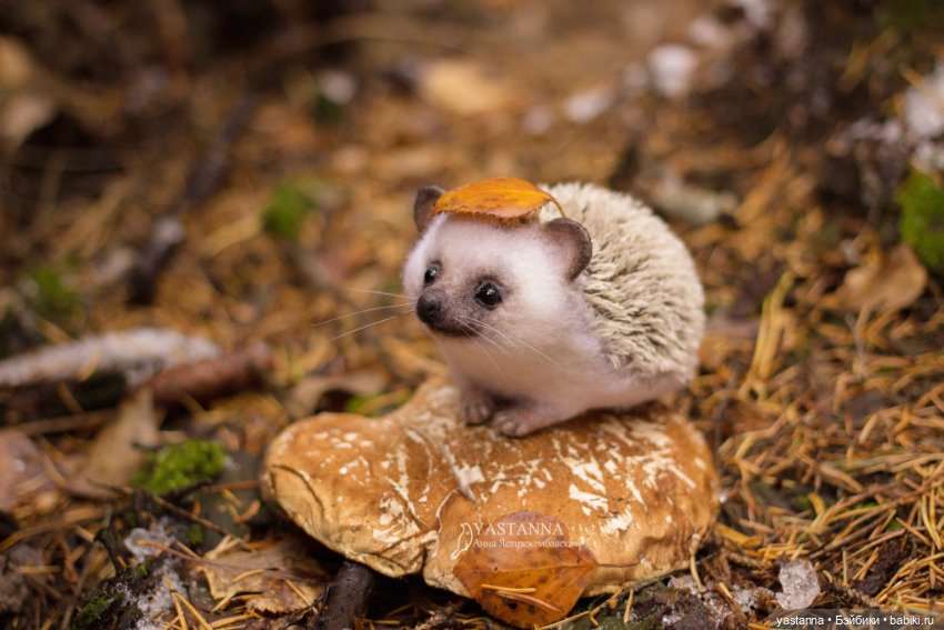 Валяные игрушки из шерсти: сухое валяние (фото 3)