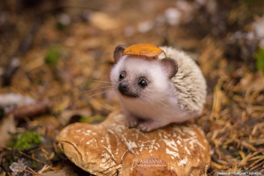 Валяные игрушки из шерсти: сухое валяние (фото 2)