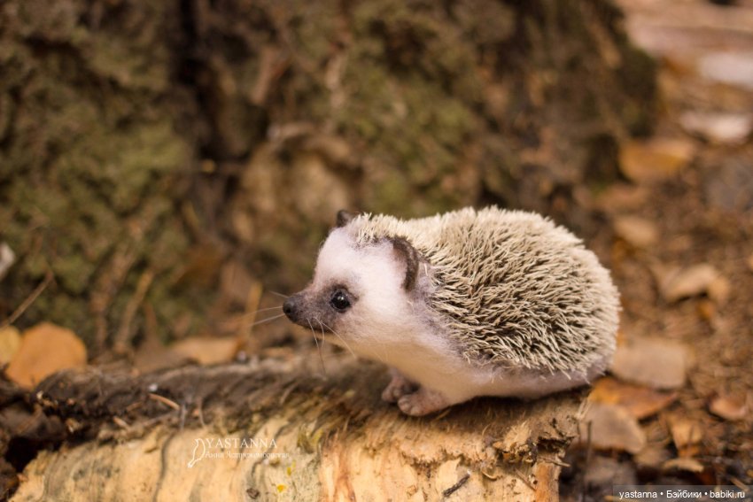 Валяные игрушки из шерсти: сухое валяние (фото 9)