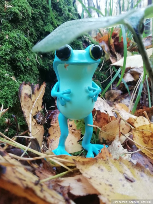 Apo frog Маркус и Малыш Лу. Осень. Лес. Айда по грибы