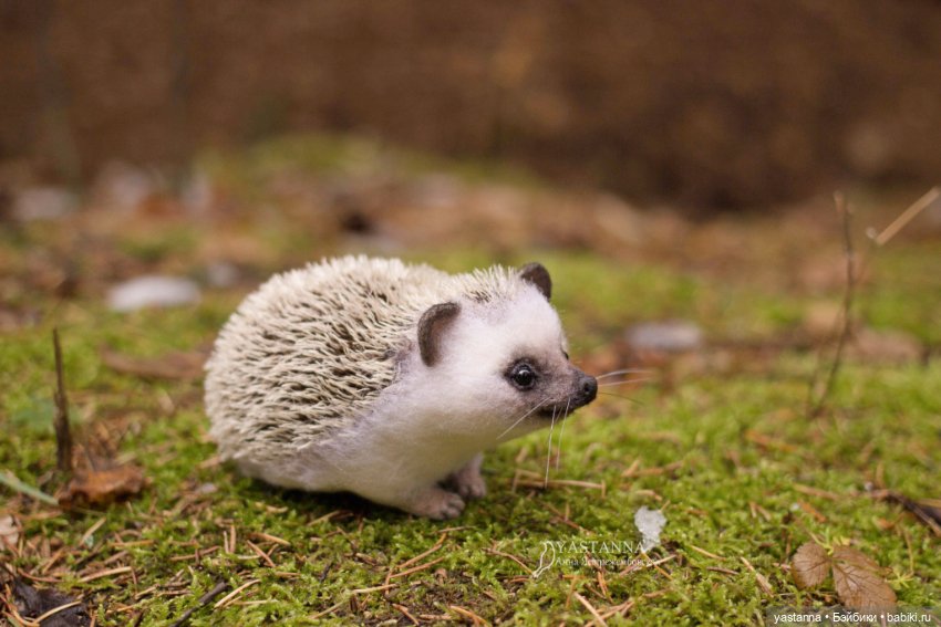 Валяные игрушки из шерсти: сухое валяние