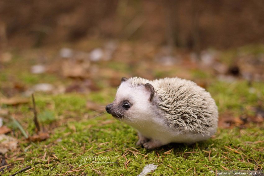 Валяные игрушки из шерсти: сухое валяние