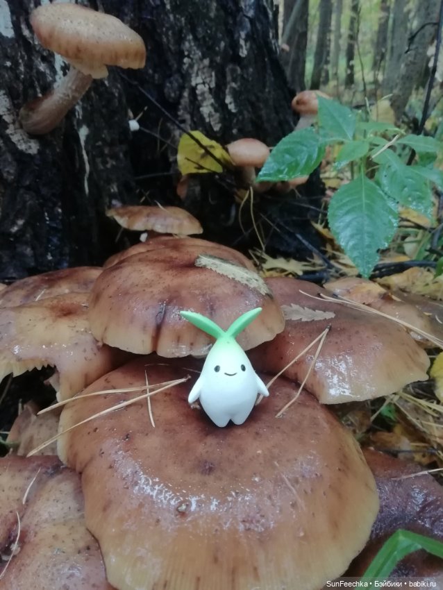 Apo frog Маркус и Малыш Лу. Осень. Лес. Айда по грибы