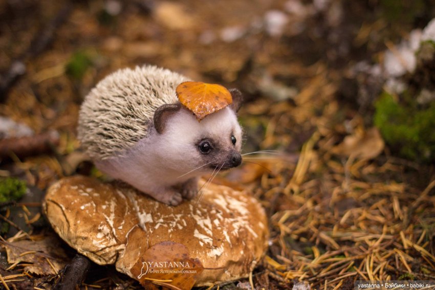 Валяные игрушки из шерсти: сухое валяние (фото 8)