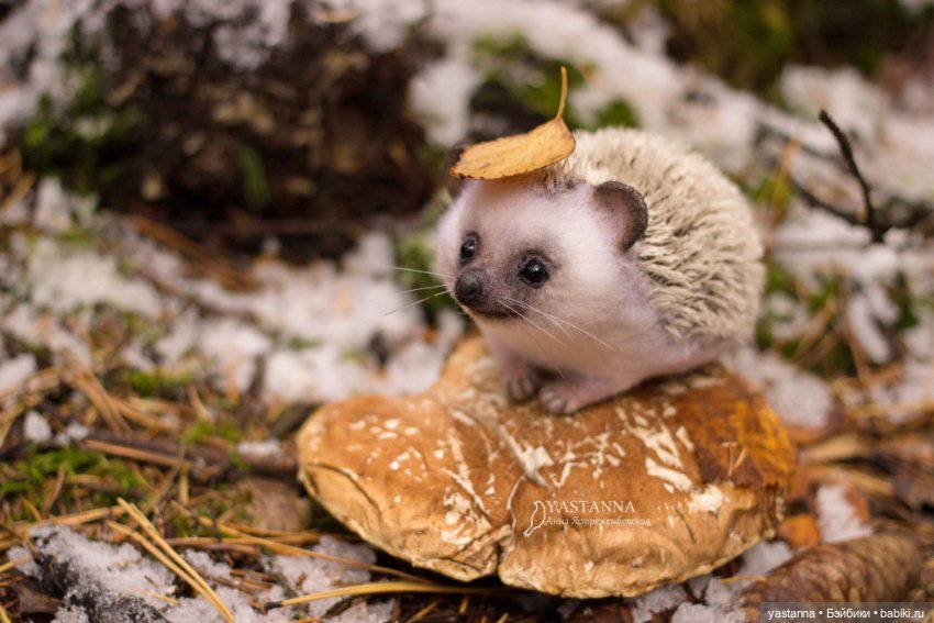 Валяные игрушки из шерсти: сухое валяние (фото 6)