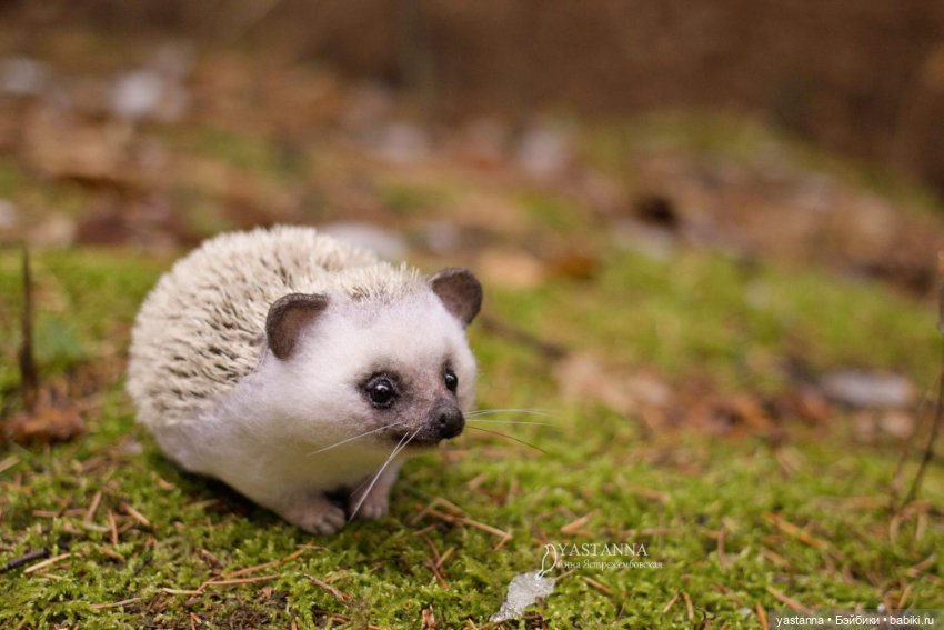 Валяные игрушки из шерсти: сухое валяние