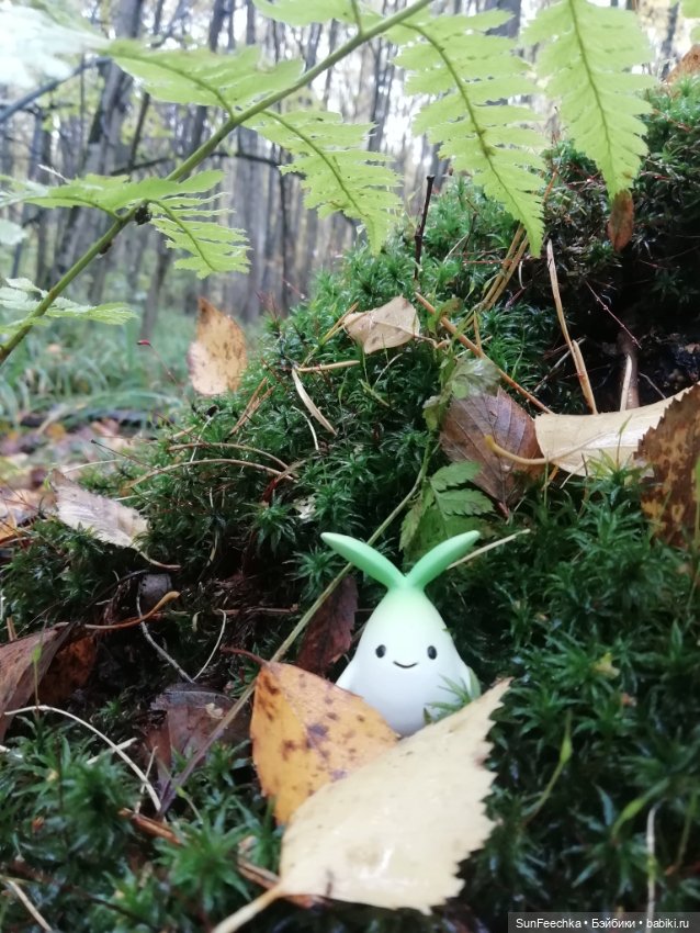 Apo frog Маркус и Малыш Лу. Осень. Лес. Айда по грибы