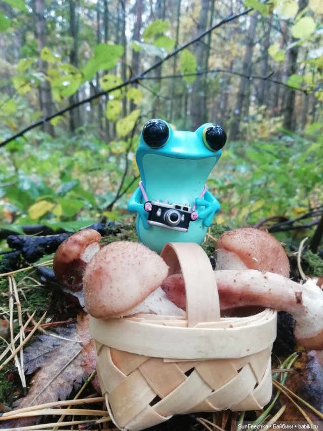 Apo frog Маркус и Малыш Лу. Осень. Лес. Айда по грибы