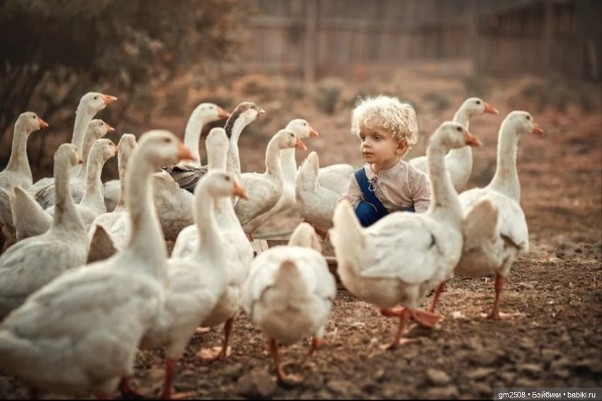 Осенние малыши — Домашние фото авторских кукол: личные коллекции (фото 2)