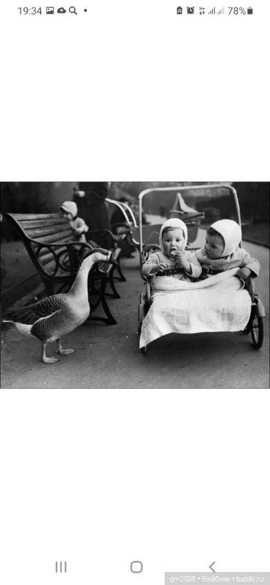 Осенние малыши — Домашние фото авторских кукол: личные коллекции