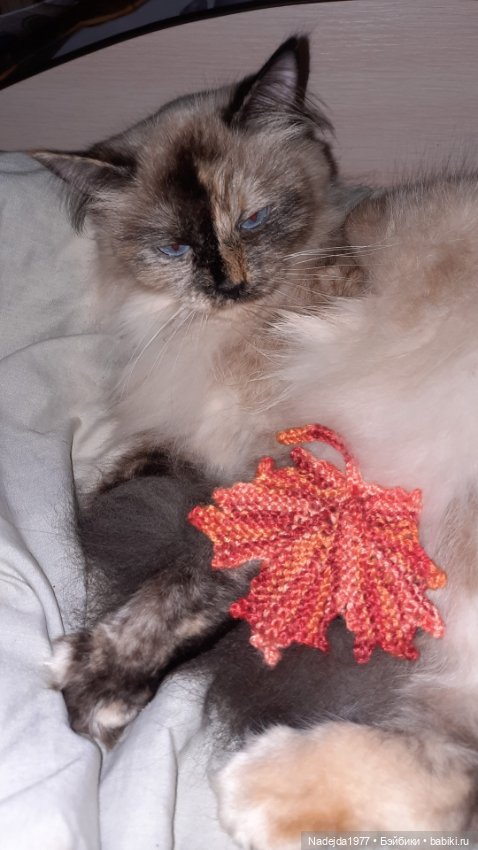 Ещё новые последние работы по МК разных авторов