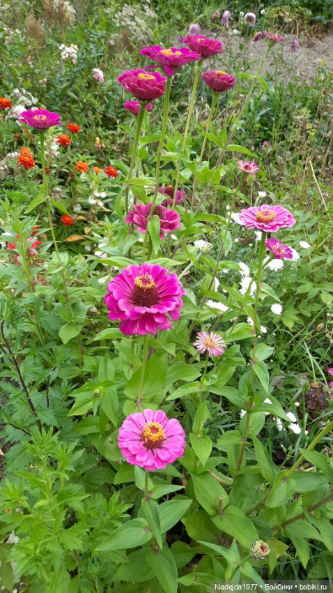 Ещё мои работы по выкройкам Клэр Гарланд