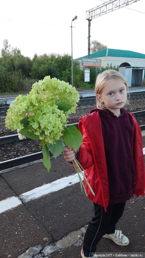 Ещё мои работы по выкройкам Клэр Гарланд