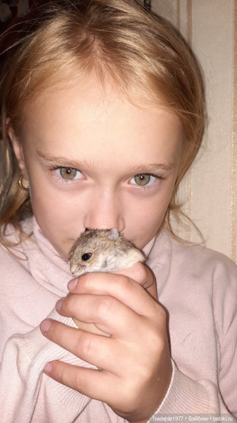 Ещё мои работы по выкройкам Клэр Гарланд