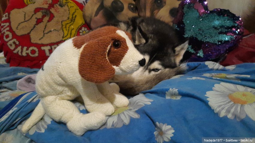 Новая работа щенок Бигля по выкройке любимой Клэр Гарланд