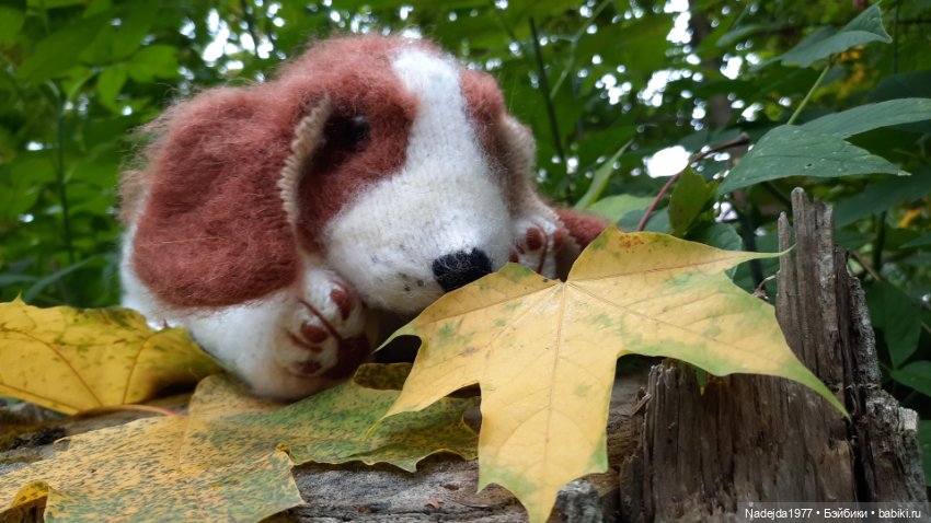 Новая работа щенок Бигля по выкройке любимой Клэр Гарланд