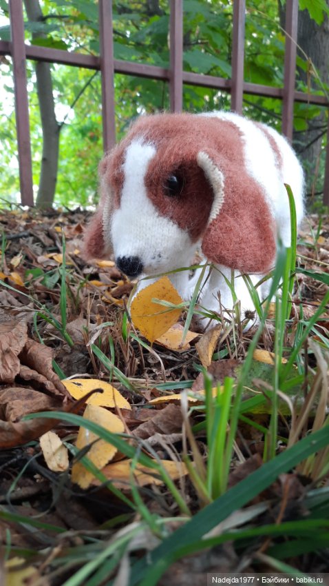 Новая работа щенок Бигля по выкройке любимой Клэр Гарланд (фото 2)