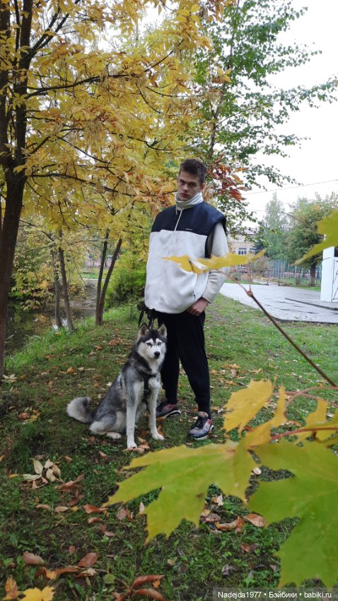 Новая работа щенок Бигля по выкройке любимой Клэр Гарланд