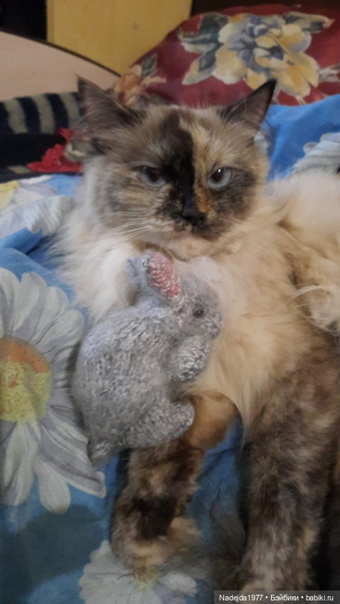 Ещё мои работы по выкройкам Клэр Гарланд