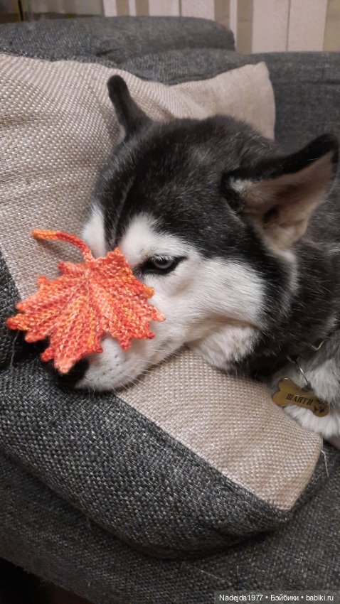 Новая работа щенок Бигля по выкройке любимой Клэр Гарланд