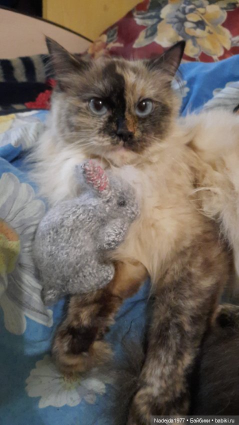 Ещё мои работы по выкройкам Клэр Гарланд