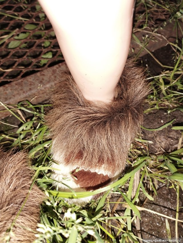 Мила, ну как без неё. Начало показа других моих любимиц (фото 9)