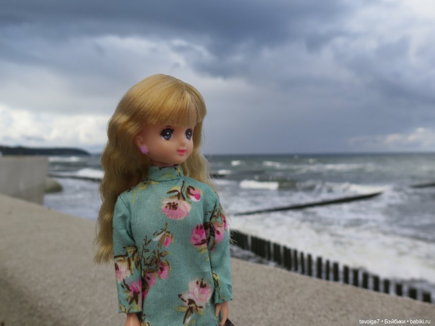 Первое утро поездки на Балтике (фото 5)