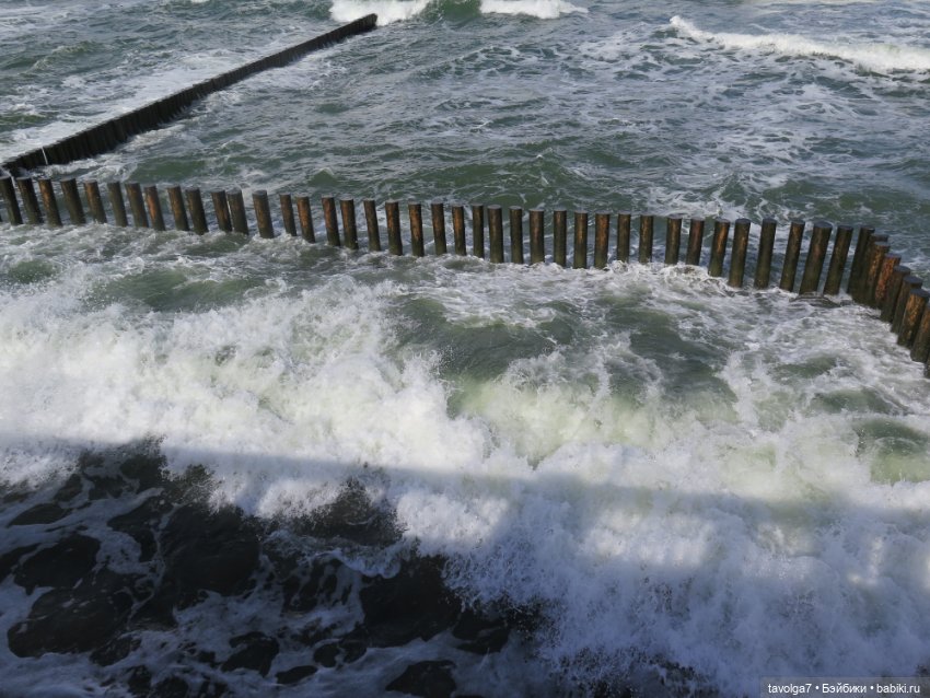 Первое утро поездки на Балтике