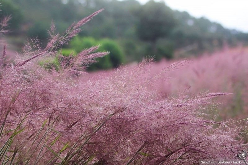 Мини-коллекция джемперов "Луга и леса"