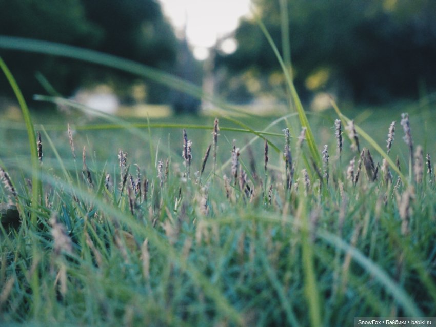 Мини-коллекция джемперов "Луга и леса"