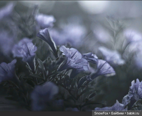 Мини-коллекция джемперов "Луга и леса"