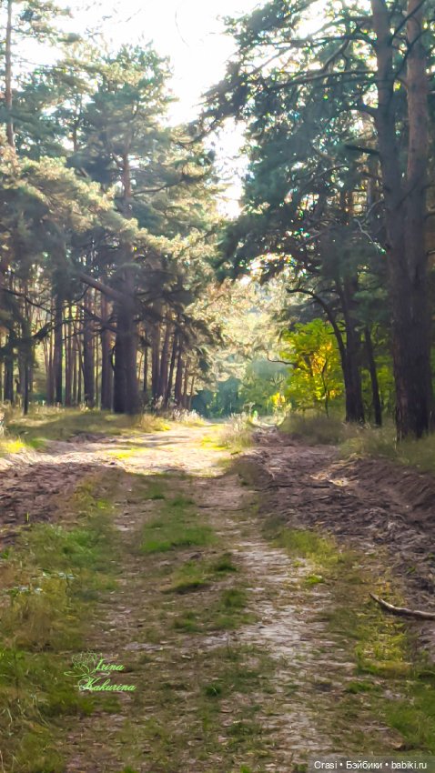 Один день с позитивным Корешком