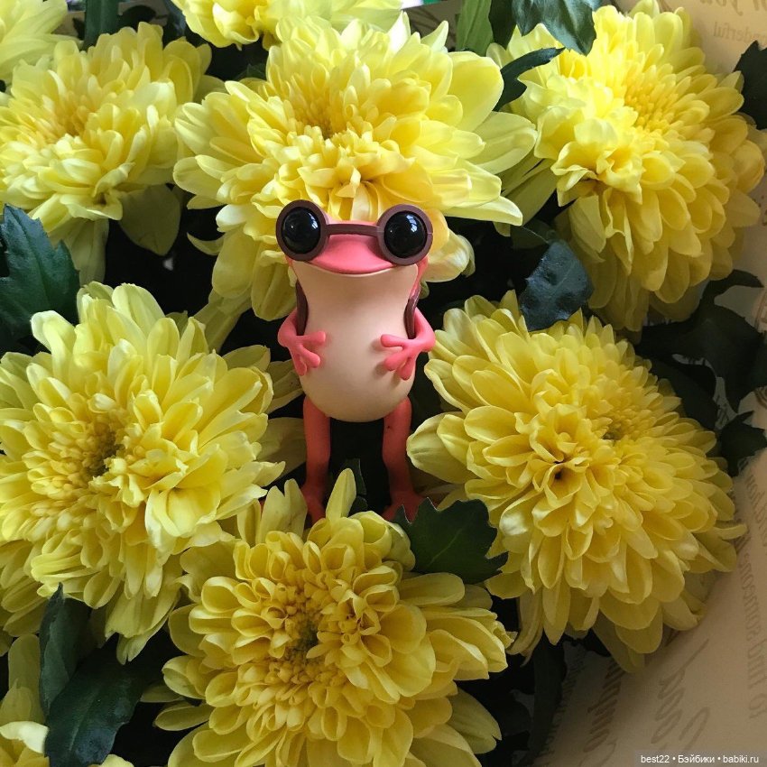 Лягушки Apo Frog от Twelvedot (фото 8)