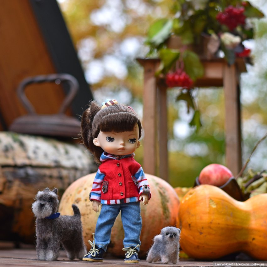 Осенний уют — Домашние коллекции кукол: фото собраний