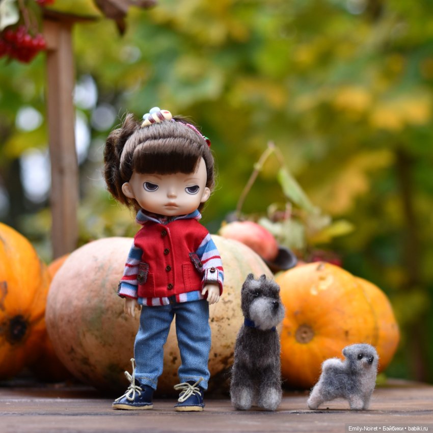 Осенний уют — Домашние коллекции кукол: фото собраний